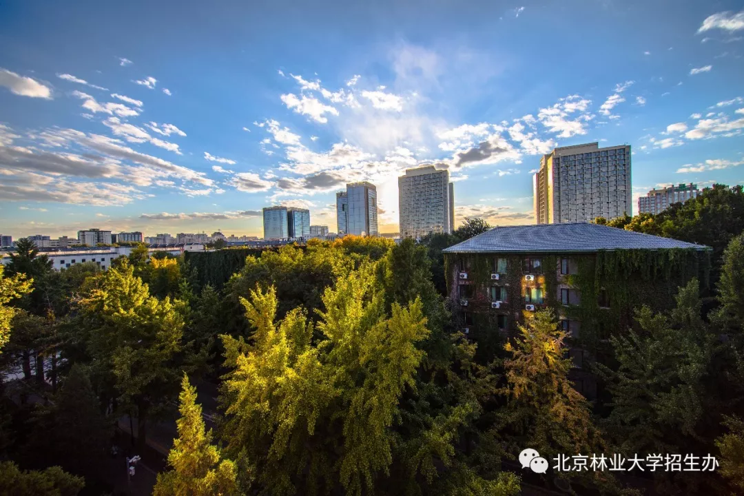 高考倒计时10天！全国最高