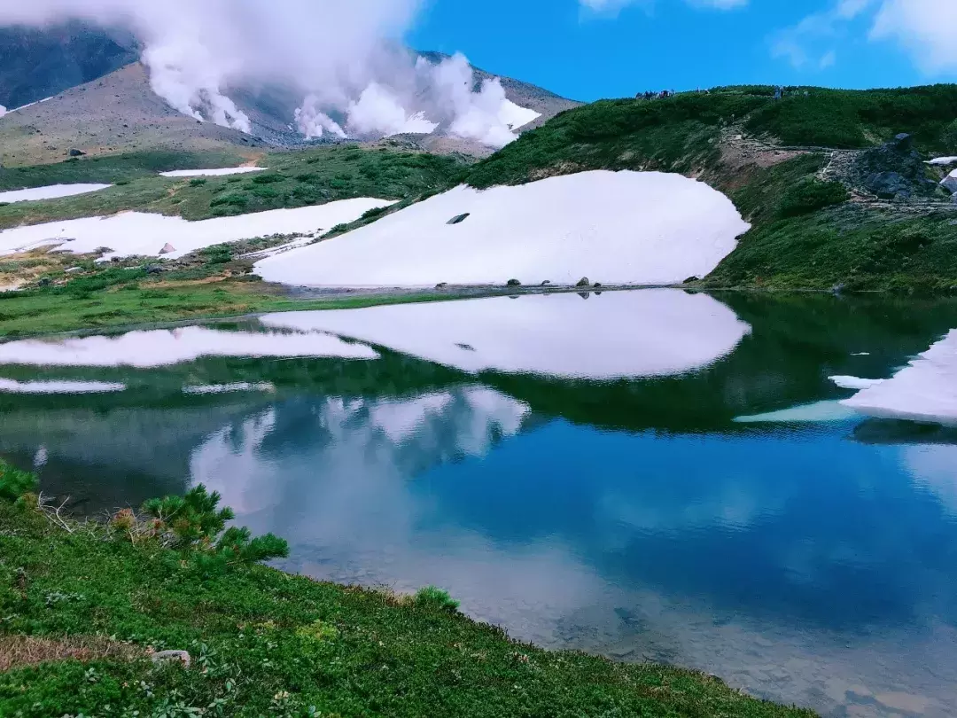 暑期亲子壮游:在夏日北海道,接受山川粮食的教育