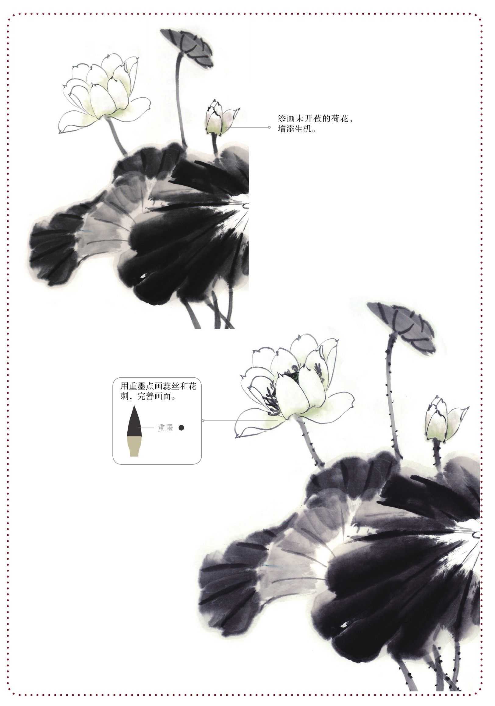 教你4种荷花组合画法,收藏起来学习