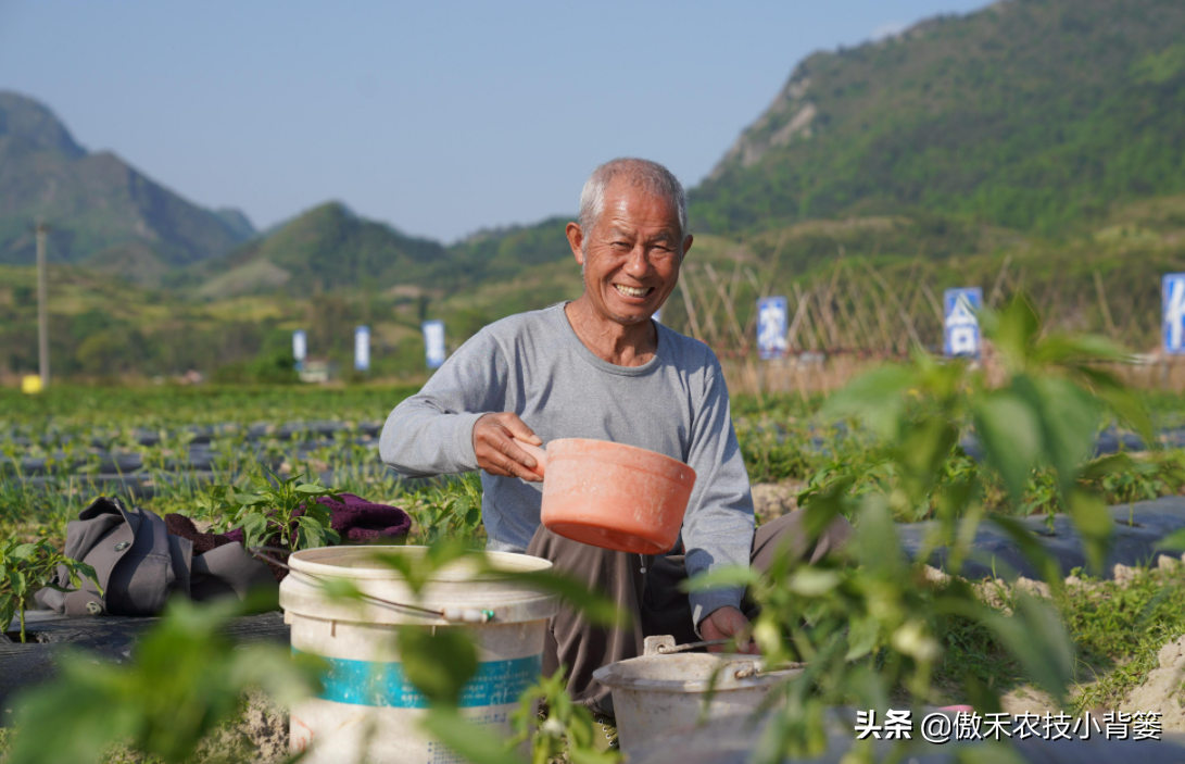 氯化铵是酸性还是碱性（氯化铵使用的7个注意事项）