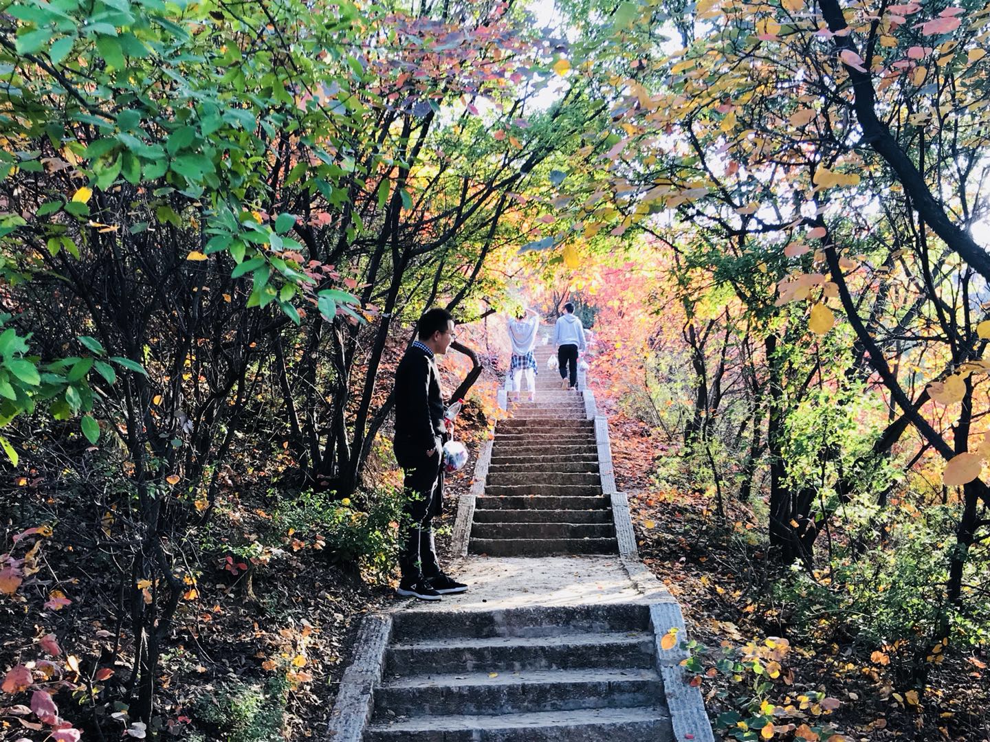 河南观赏最美秋景，去这10个地方就够了，景色绝美