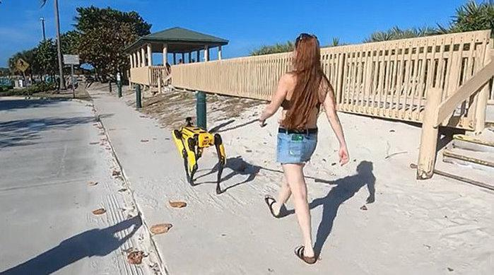 波士顿动力一只48.8万，美女沙滩遛「狗」，网友直呼：壕