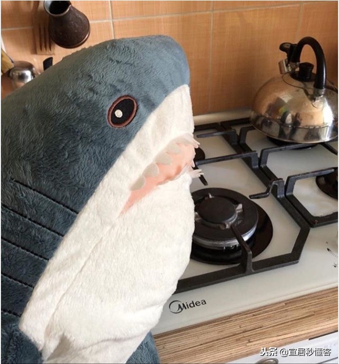 宜家这只鲨鱼怎么就火了?