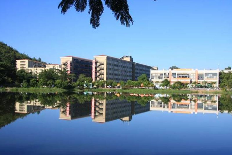 大学夜不归宿严重吗（大学读着读着就没了）