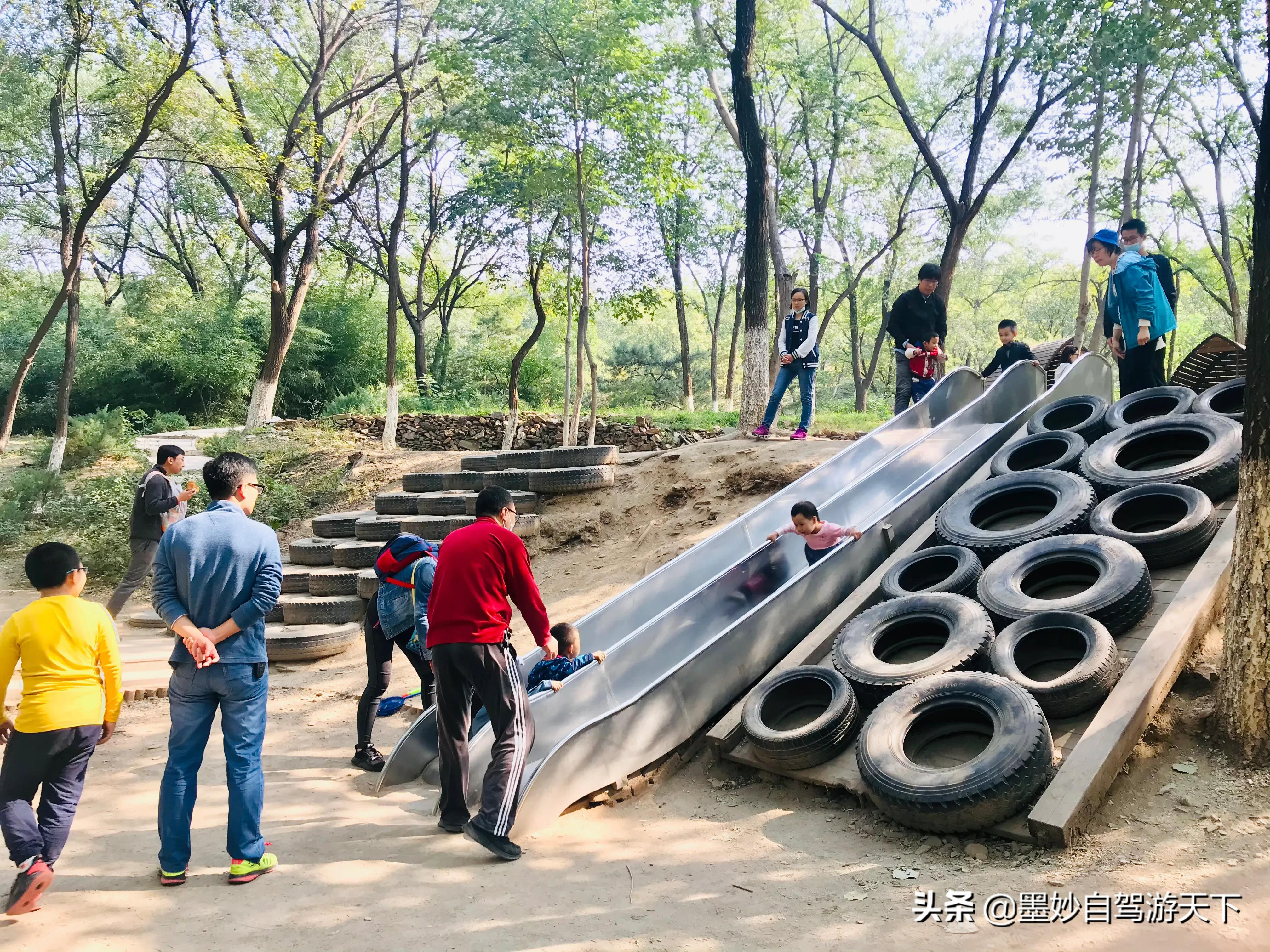 不出京城到江南｜北京市内交通便利的森林公园，端午洗肺好去处