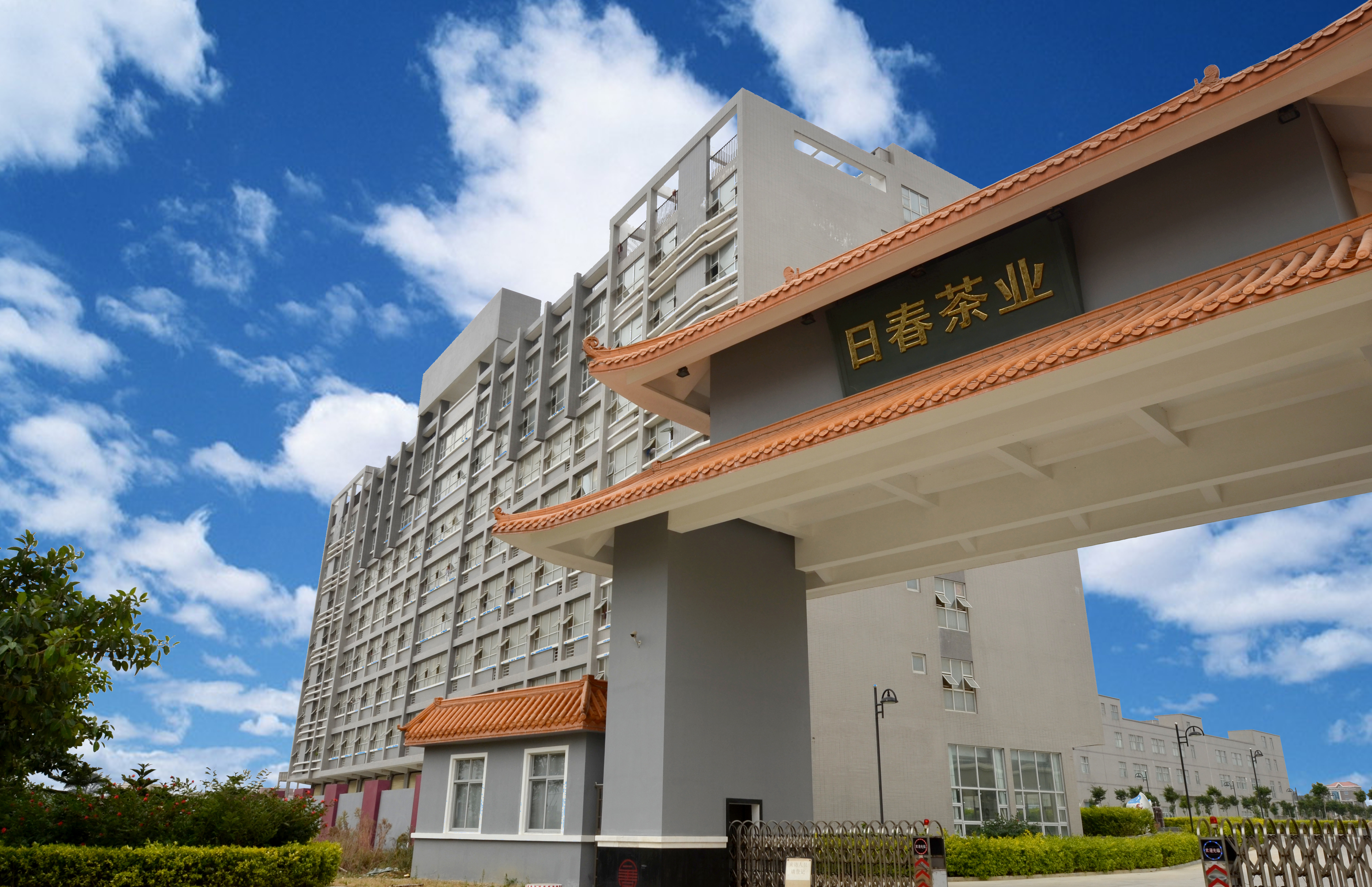 安溪铁观音豪取六连冠 要购买 请认准这5个福茶品牌
