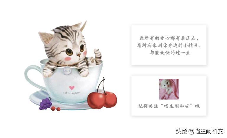 猫眼睛红肿眼屎增多是眼部炎症？及时确诊，有可能是眼线虫惹的祸