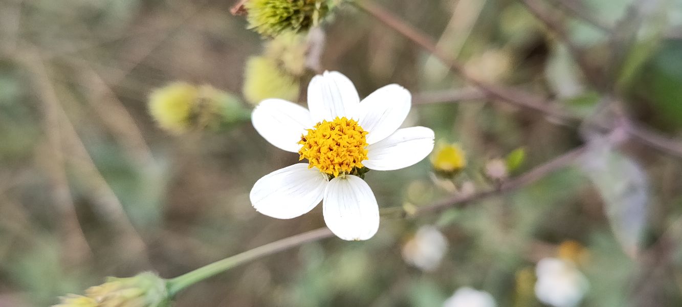 “担保”真的就只是签个字那么简单？