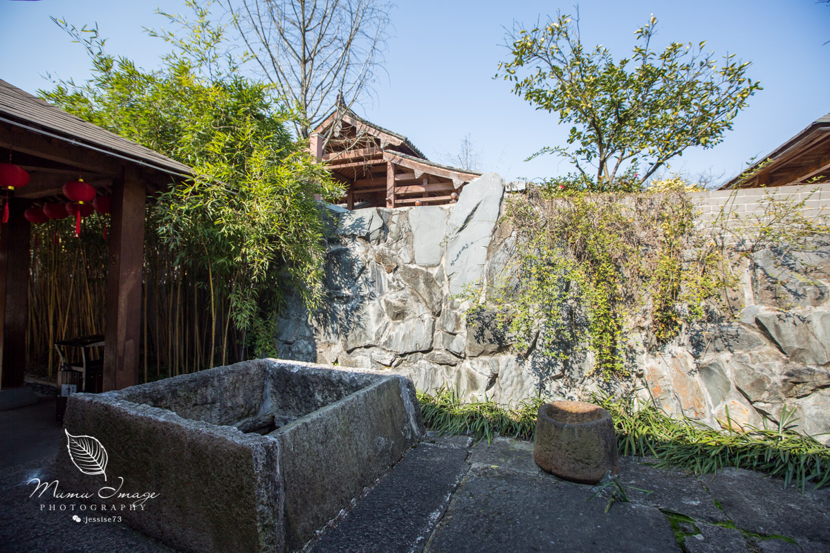 浙江草莓之乡：建德，冬游记