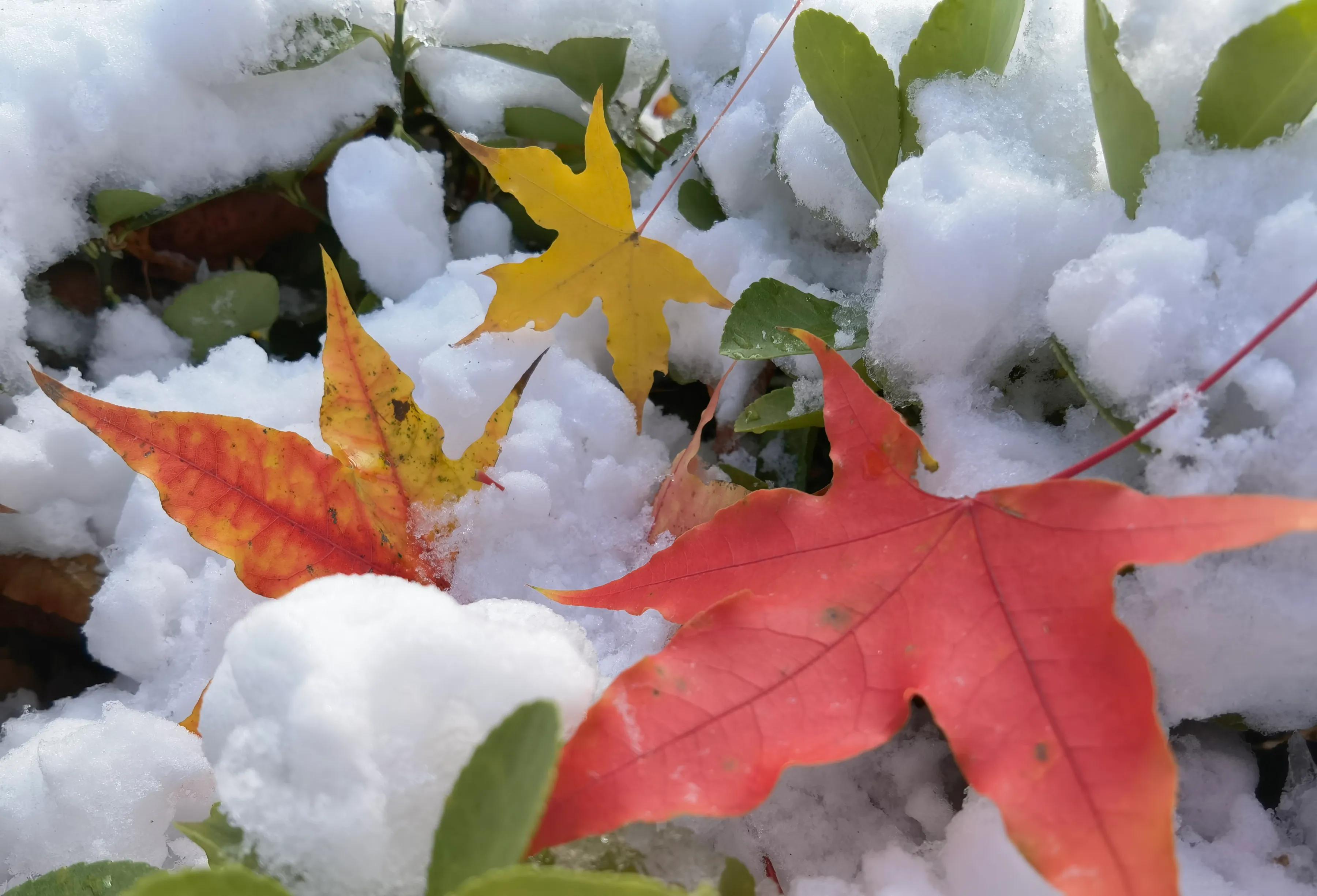 手拍世界（手机摄影平台）-群员作品集（总第733期）