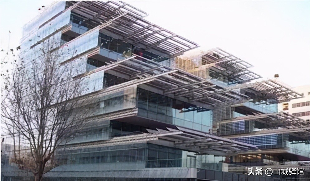 重庆一小学楼顶种14000株向日葵，盘点别人家学校的花式楼顶风光