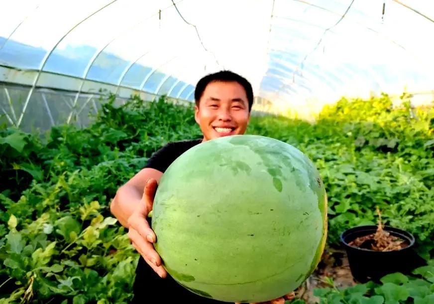 建设合同纠纷,建设工程合同纠纷