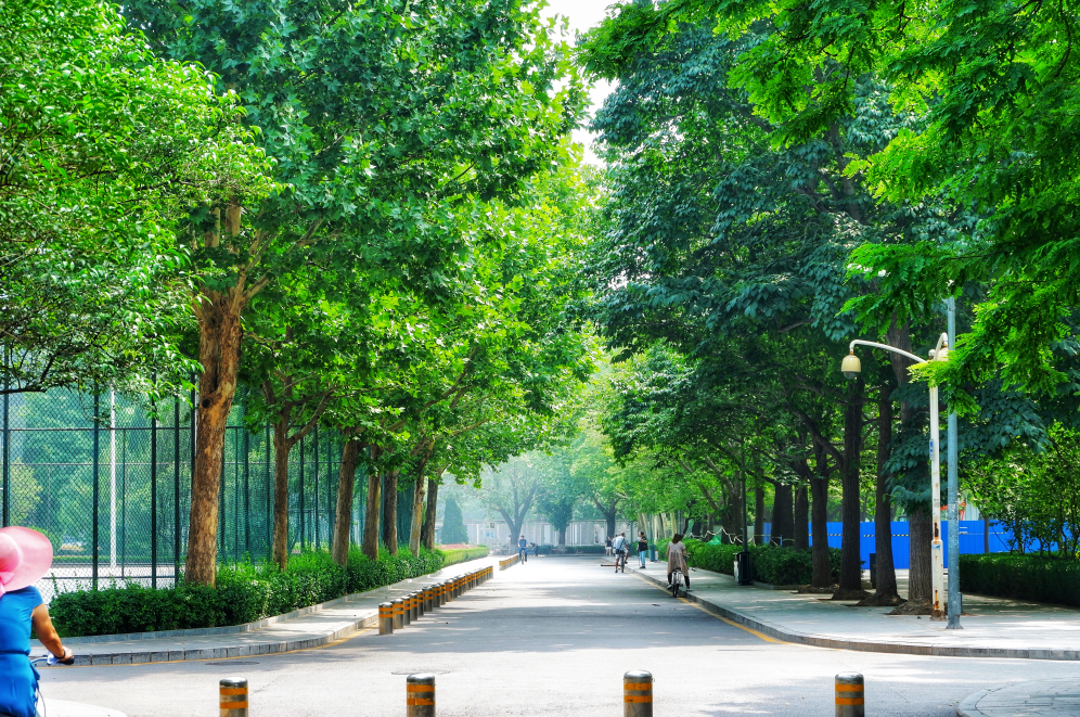 中国唯一一所以