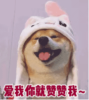 2020黑龙江二表三表合并，影响居然这么大！高考政策要调整了……