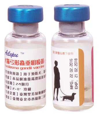 辟谣！目前市场上所有犬猫弓形虫疫苗都是假的，你家宠物注射过吗