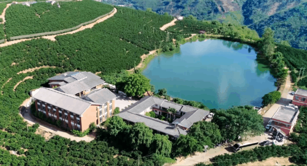 褚氏农业：从精神的传承，到数字化传“橙”