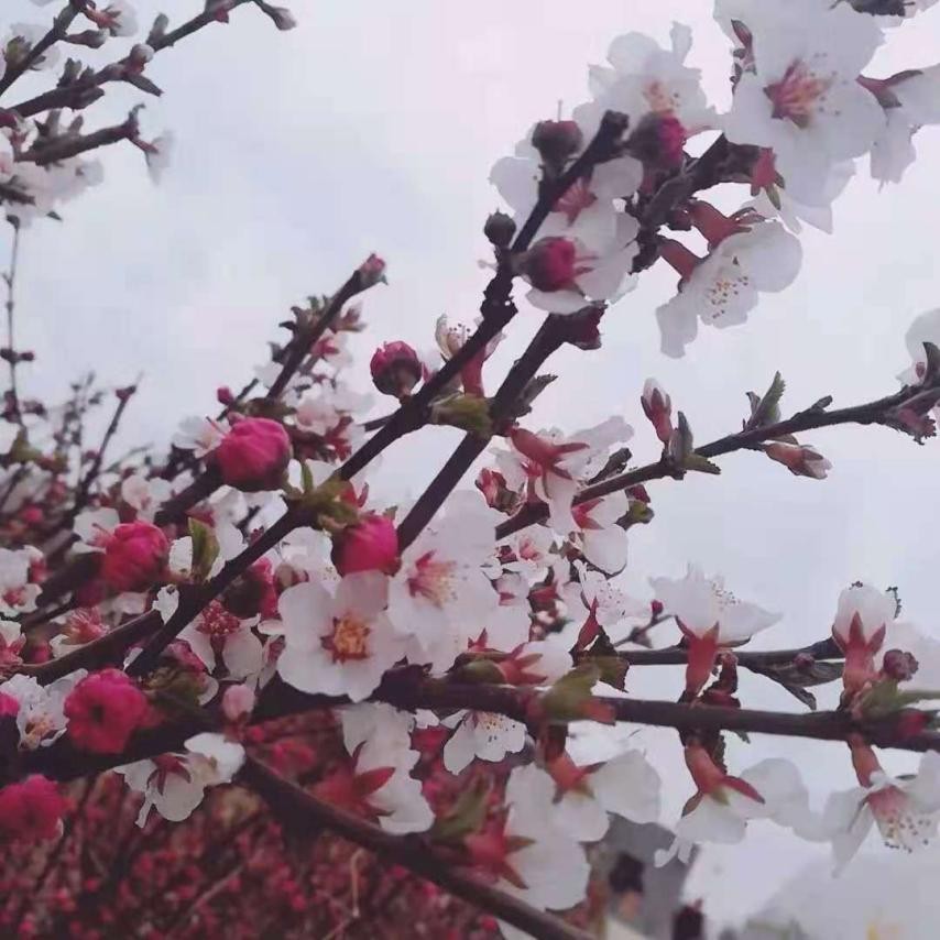 中国烹饪大师坐镇，拥有国内首创美食，沈阳这所高校火上“热搜”