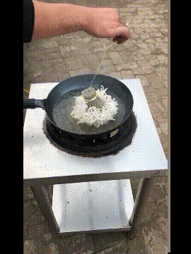 爆笑的GIF动图：我真的想知道，在这艘船上的都是什么人