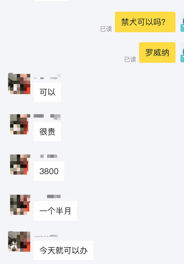 申晨间  | 3800元！有人在闲鱼公开叫卖“为上海烈性犬办正规狗证”