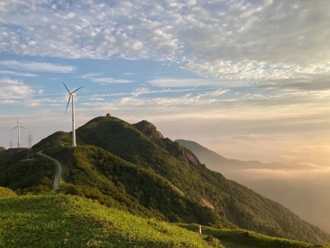 新兴风车山上:野百合也有春天