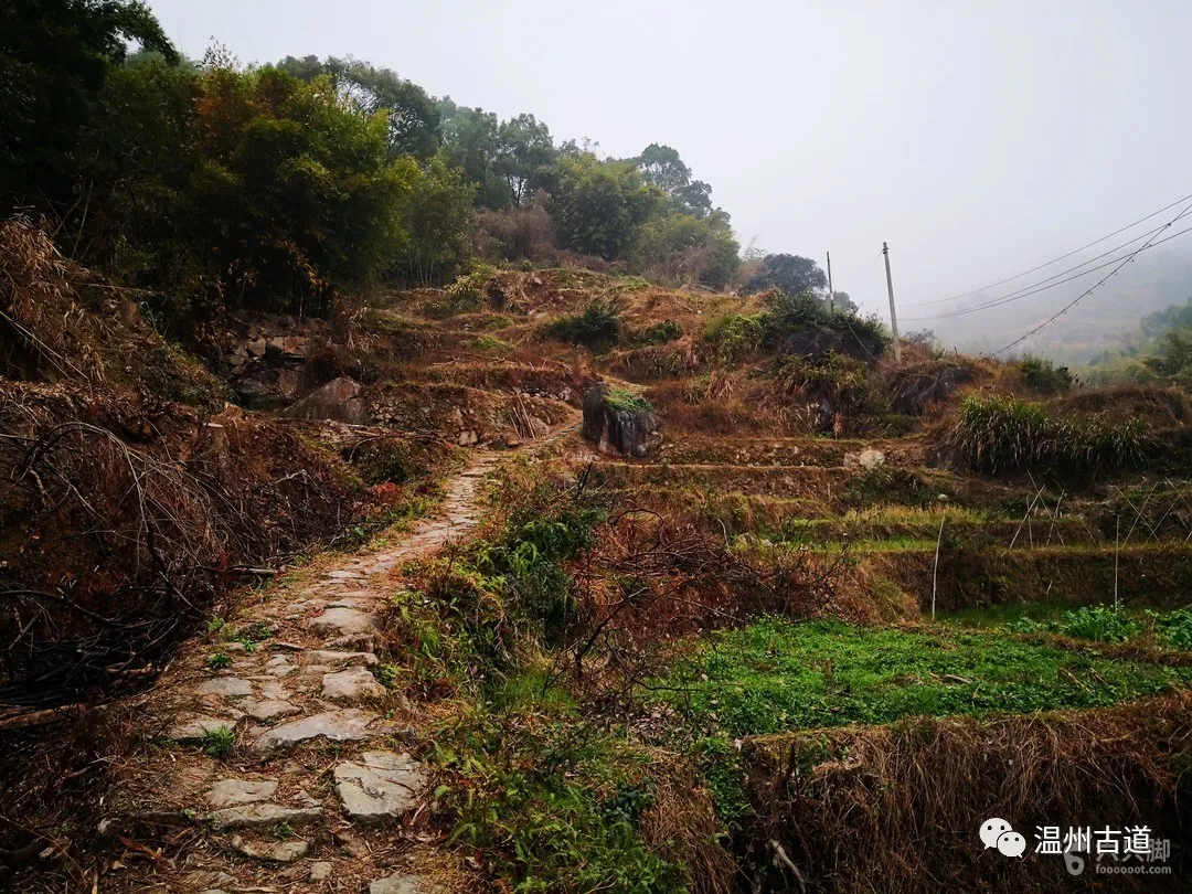 平阳麻步吧（平阳麻步沿口七星山古道环线穿越风景如画）