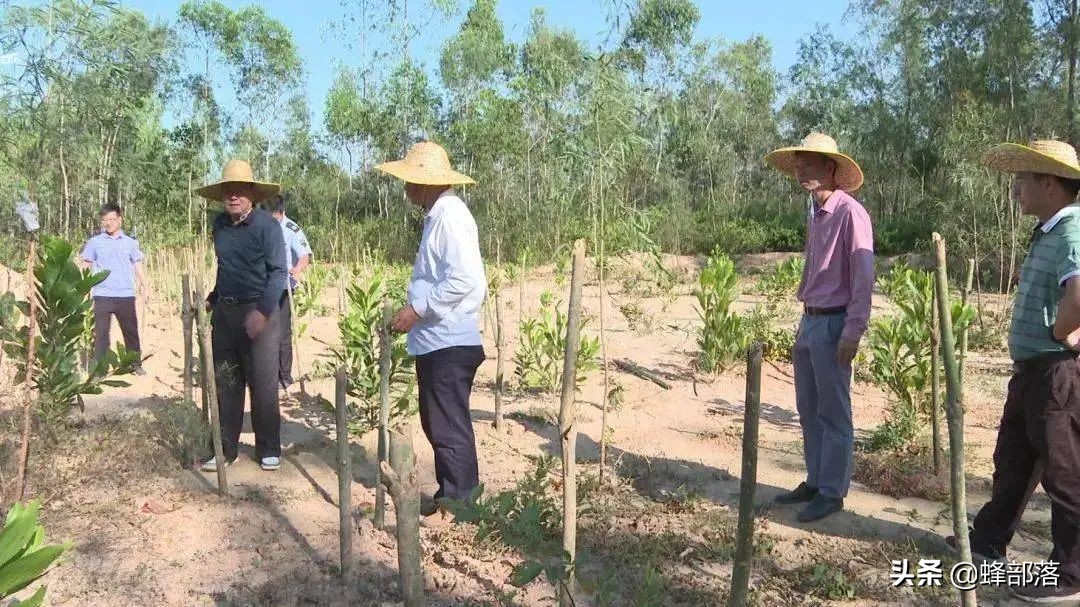 土地新规正在落实，部分地方已出征地补偿标准，2种情况不予赔偿