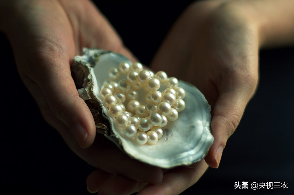 珍珠有不少秘密，看了这篇文，你就懂了