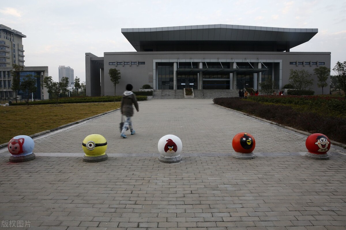 这4所来自中部地区的专科学校，更适合低分生选择，专业实力强