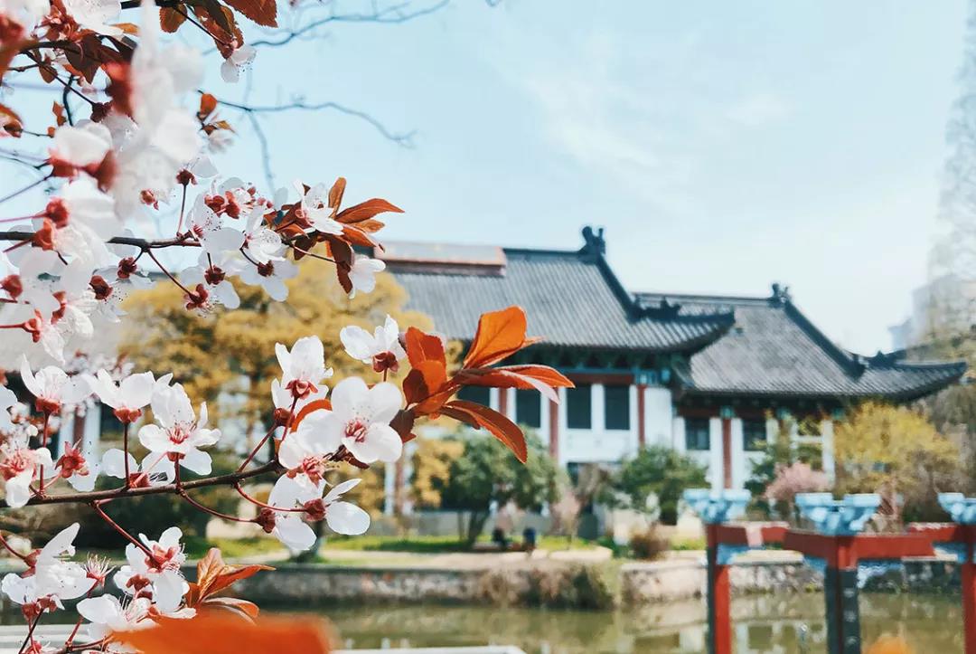 神仙颜值！坐拥