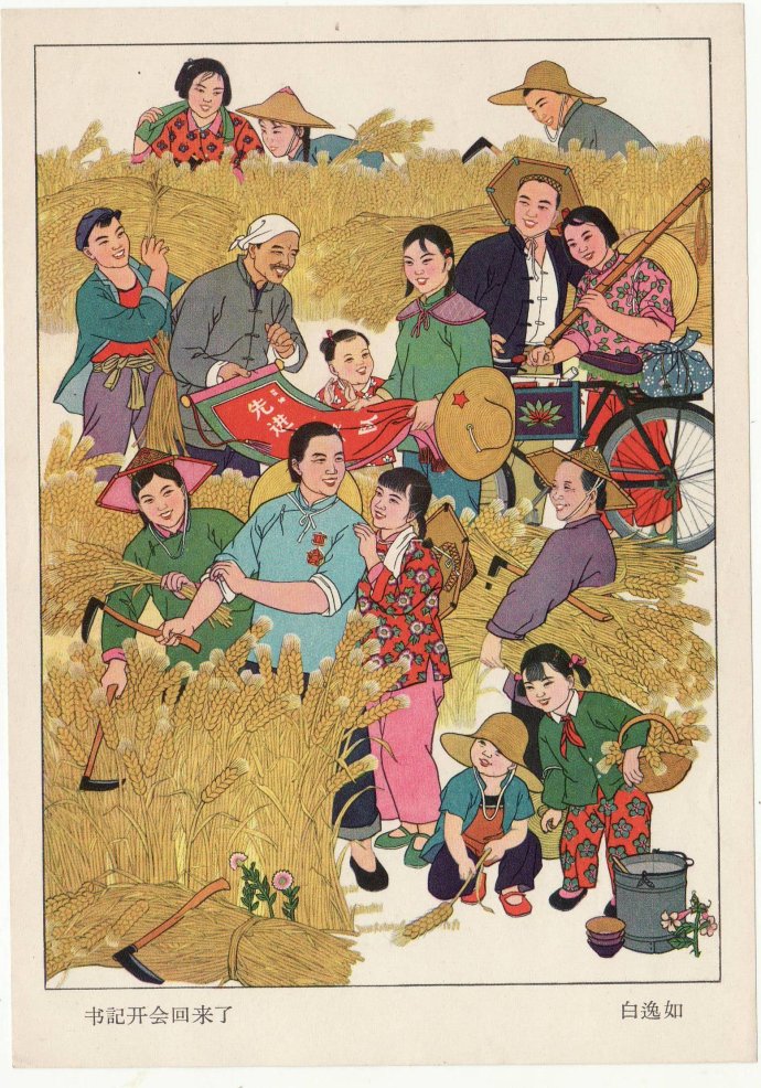 芒种杯冲出亚马逊读后感(芒种杯第一条红领巾读后感) _晶羽文学网