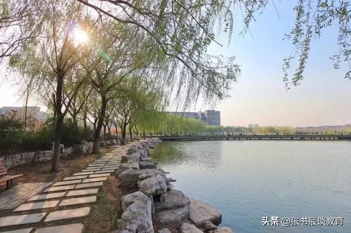 山东师范大学，山东师范大学2020年高考部分省市分数线分析