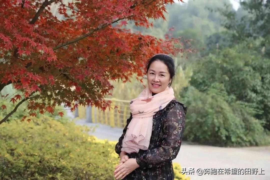 我有一碗肉，足以慰风尘
