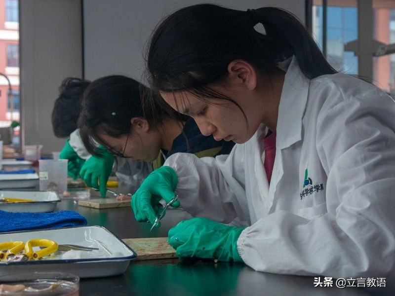 认为“学历无用论”的醒醒吧！本科生和研究生的区别，对比很真实