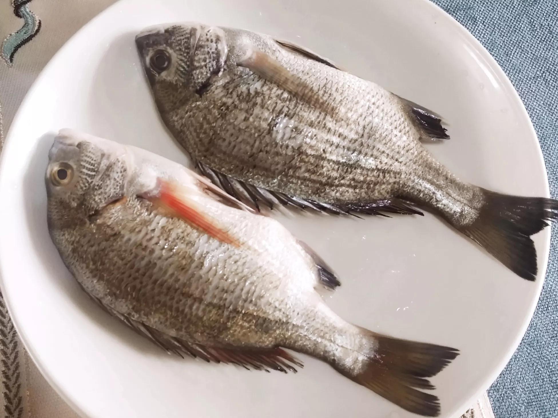 鳎目鱼怎么做好吃？分享广东人五种美味吃法 | 说明书网