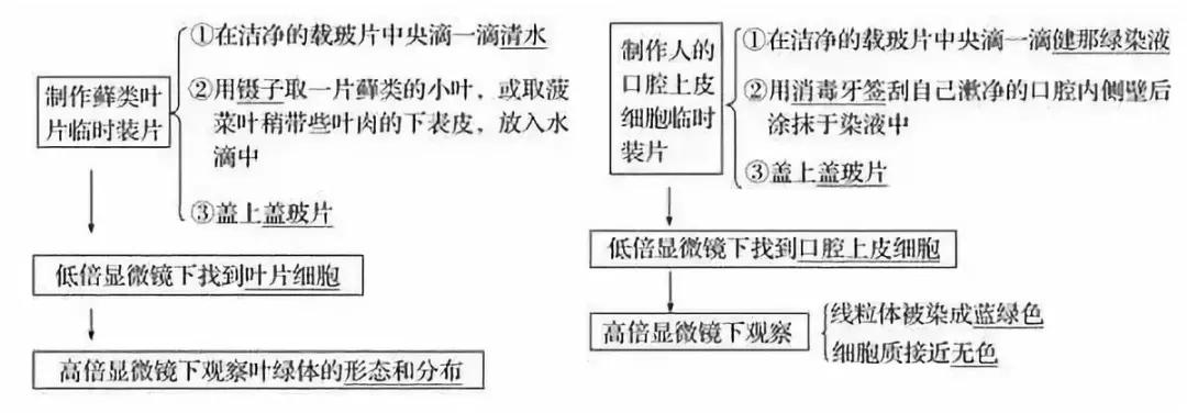 涵盖高中所有生物实验知识点