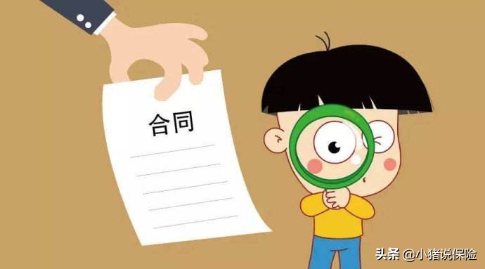 保险合同看不懂？我来手把手教你如何看保单