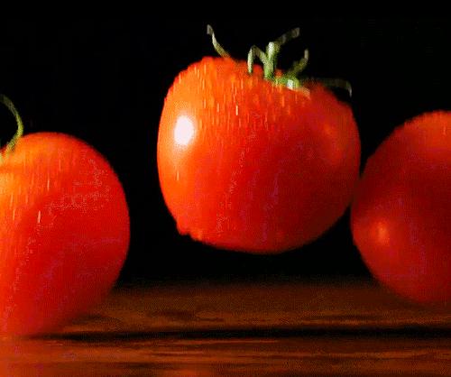 一口一个，甘甜爆汁！沙漠里种出来的小番茄，就是绝品