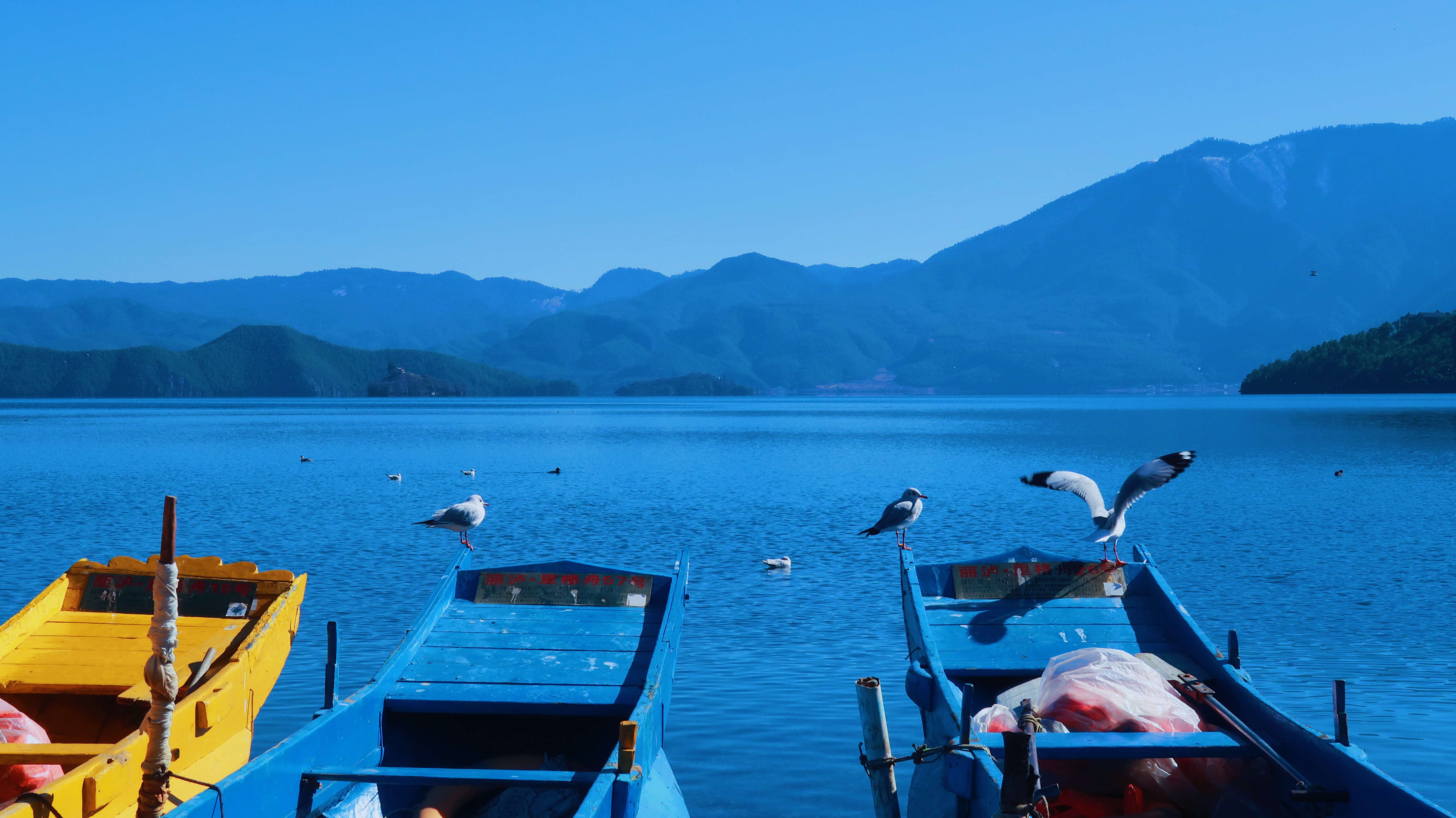 「2019最新」「自驾西昌泸沽湖走心超全旅游攻略，收藏这篇就够了」