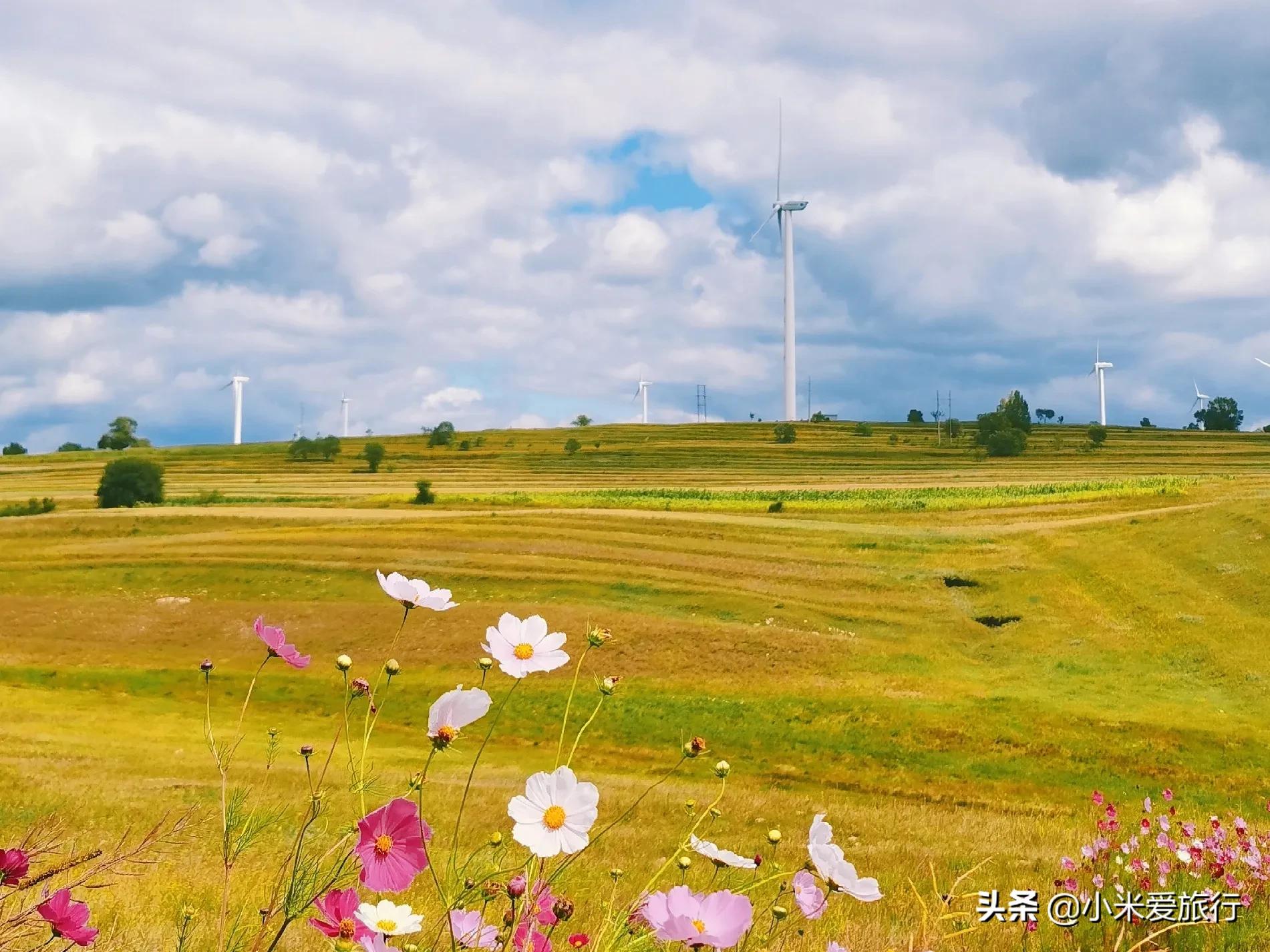 张北草原旅游攻略自驾游张北草原天路自驾最佳路线