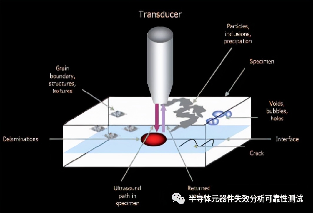 超声波扫描显微镜应用介绍