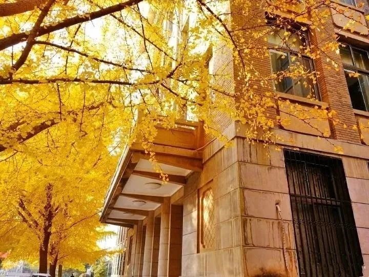 颜值实力俱佳！河南这所百年名校，处处洋溢着青春的气息！