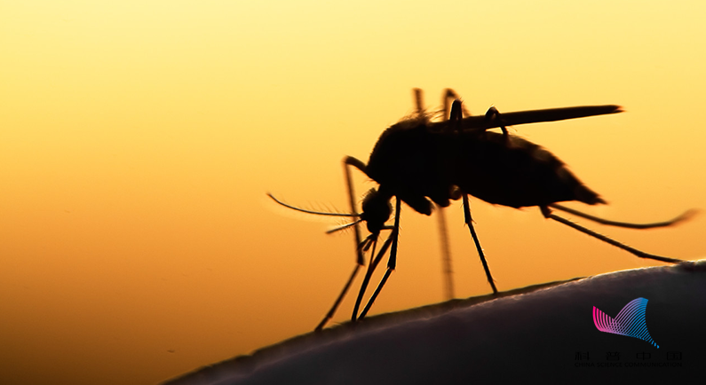 为什么蚊子不会被雨滴砸死？多年的疑问总算解开了