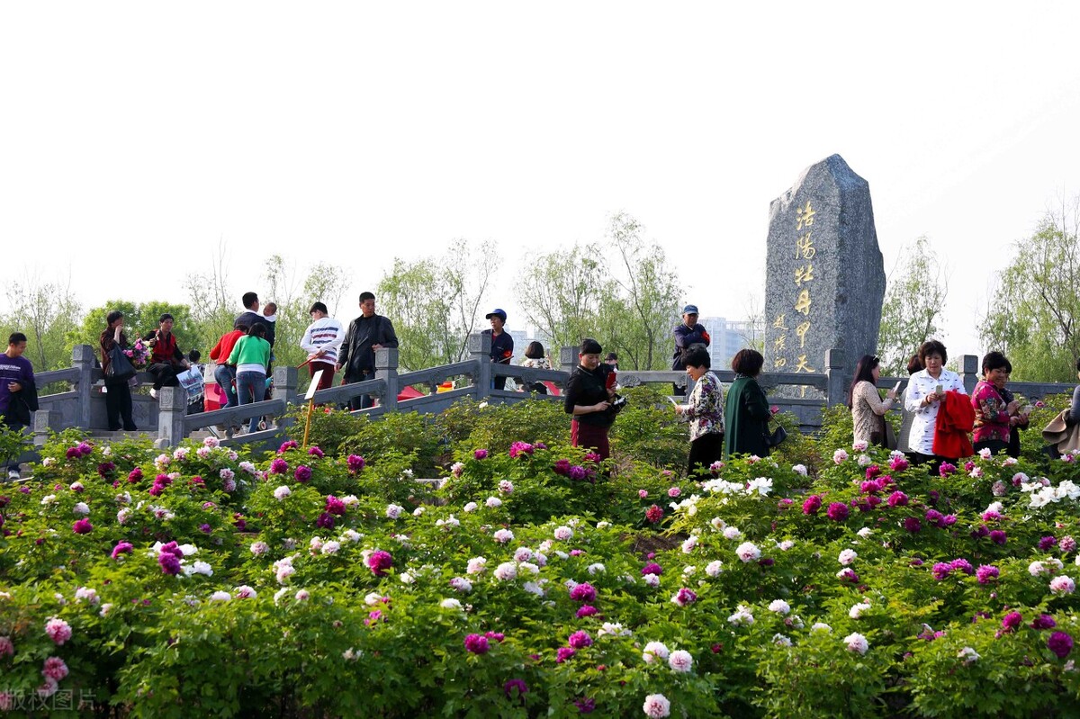 洛阳有5个5A景区，为何旅游却火不起来？还不如郑州