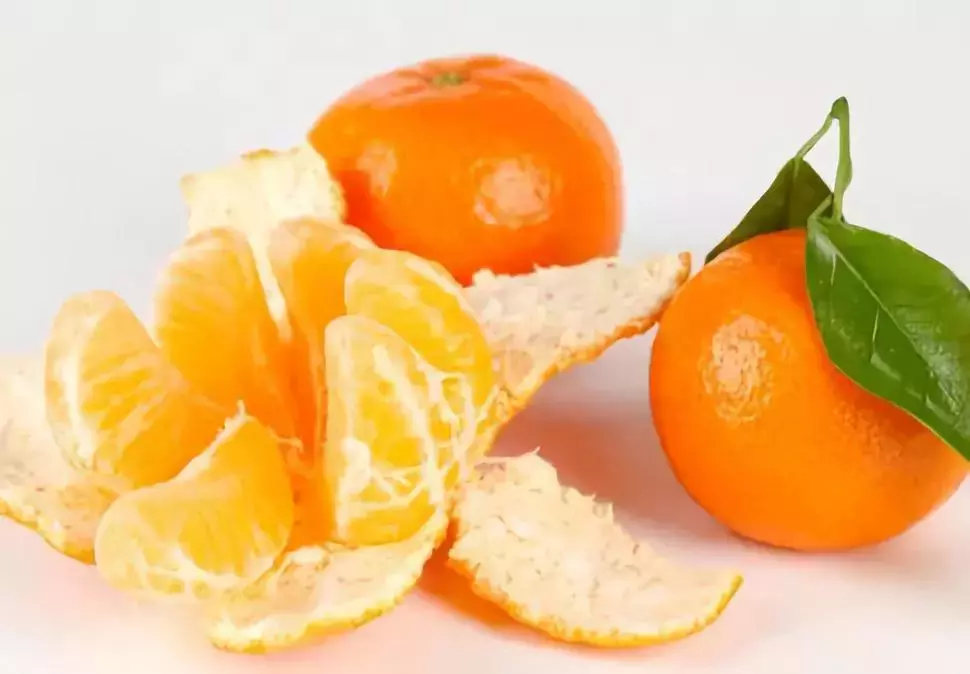 如何分辨柑、橘、桔？