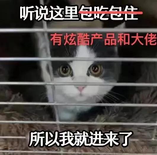 实验猴一只十万！全世界都在抢猴子，疫苗紧缺吗？