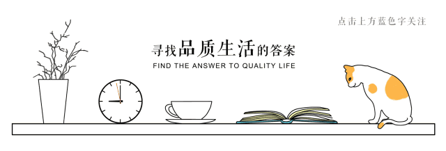 警惕！装修全包遭遇骗局，如何避免成为下一个受害者？