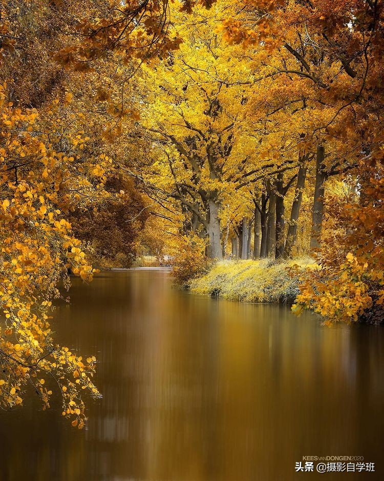 秋景不能胡乱拍,这9个秋景摄影技巧你会吗,照片变美很简单