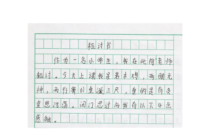 小学生检讨书写作指导：简短规范的认错范文