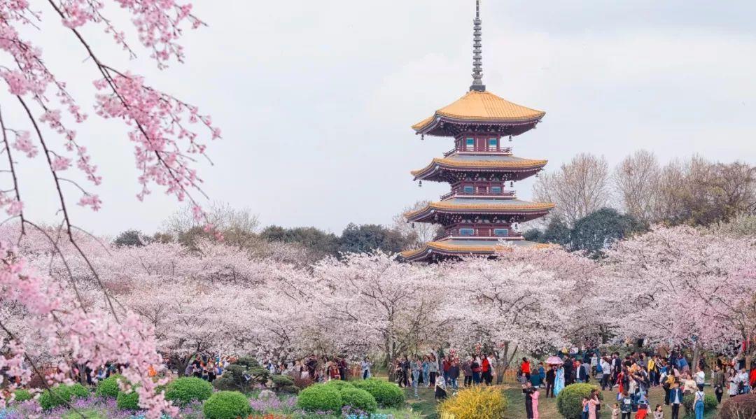 国内那些风景如画的大学，上学好似“度假”，书香与美景并存