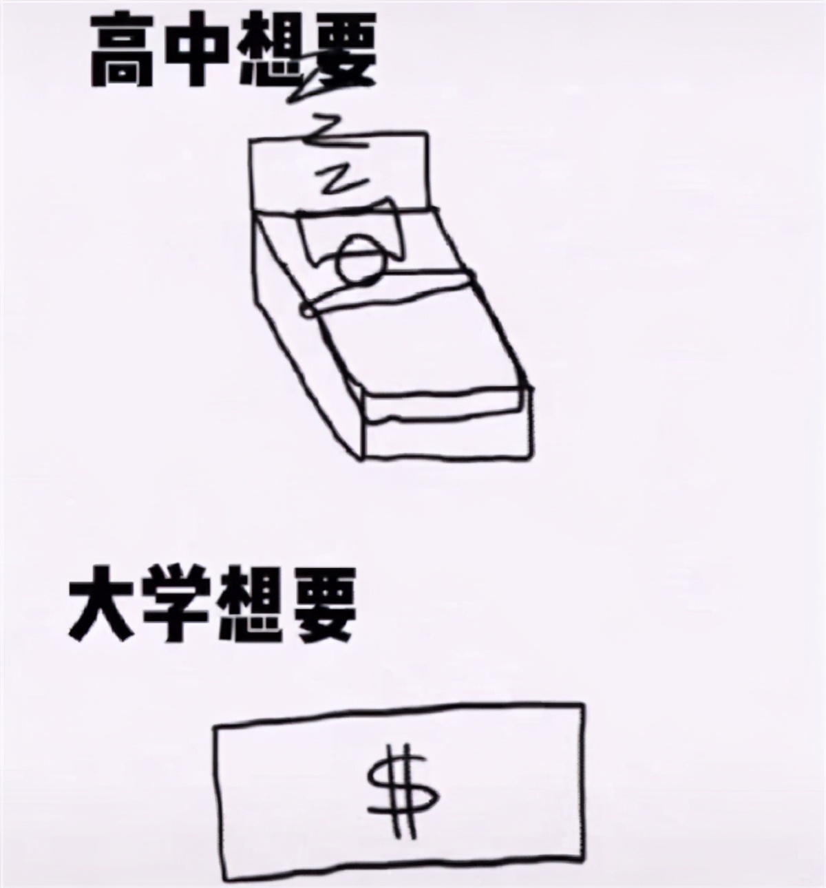 高中和大学的不同之处，几张图片精准概括，可以说是很形象了